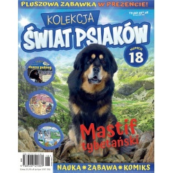 Kolekcja Świat Psiaków nr 18- Mastif tybetański