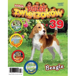 Kolekcja Świat Zwierzaków nr 39 - Beagle